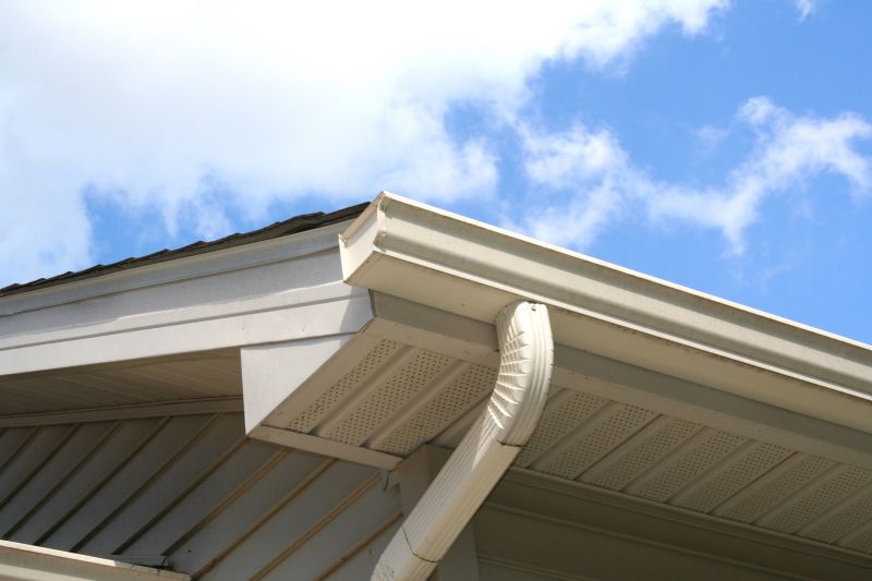 Gutter Cover System Close-up