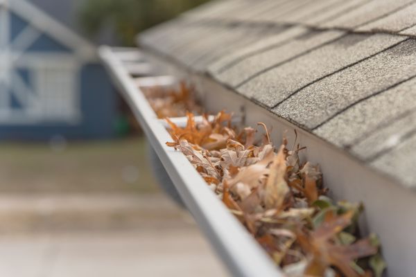 Leaf Barrier Installation in Chillicothe